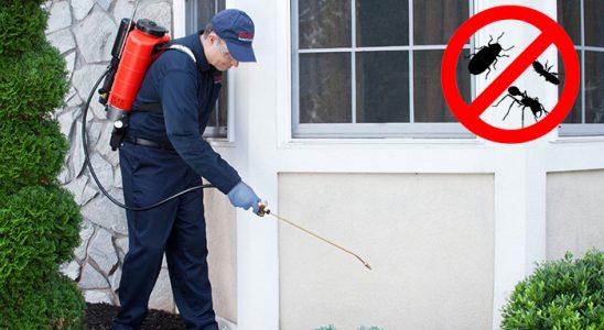 Beytüşşebap Karınca İlaçlama böcek ilaçlama ve haşere kontrolü — ilaclama-tr.com